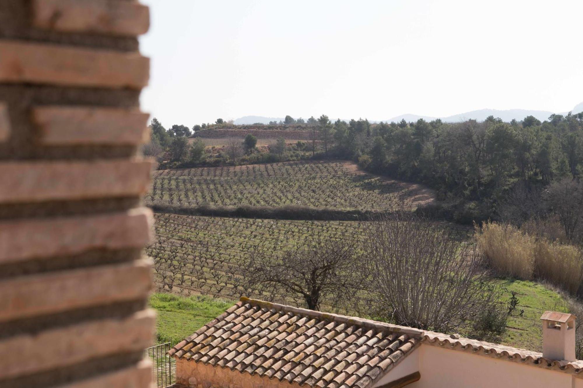 Casa Rural Masia Les Apieres El Pla de Manlleu Экстерьер фото